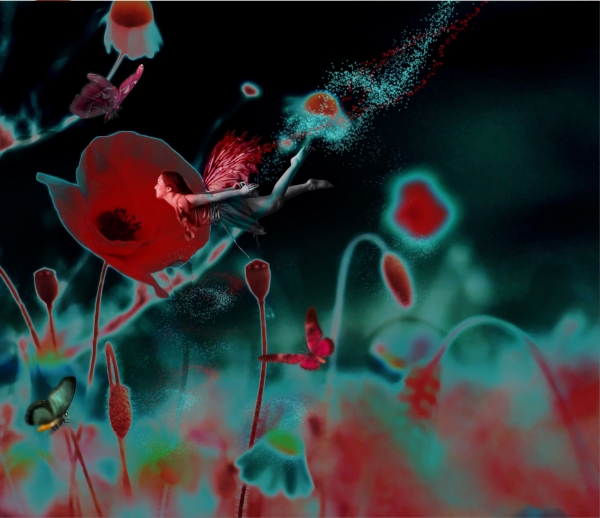 Creation of Poppy Fairy: Step 11